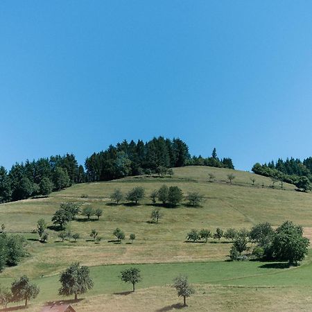 Moderne 2 Zi.-Fewo Blackforest Art Barrierefrei Naehe Freiburg Simonswald Luaran gambar