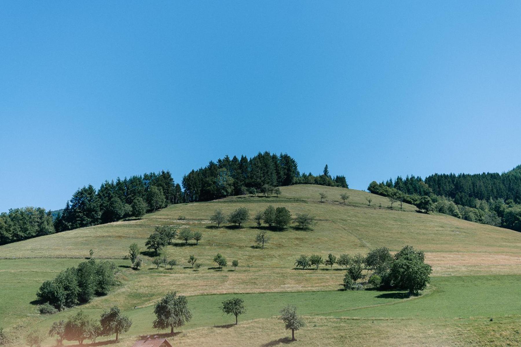 Moderne 2 Zi.-Fewo Blackforest Art Barrierefrei Naehe Freiburg Simonswald Luaran gambar