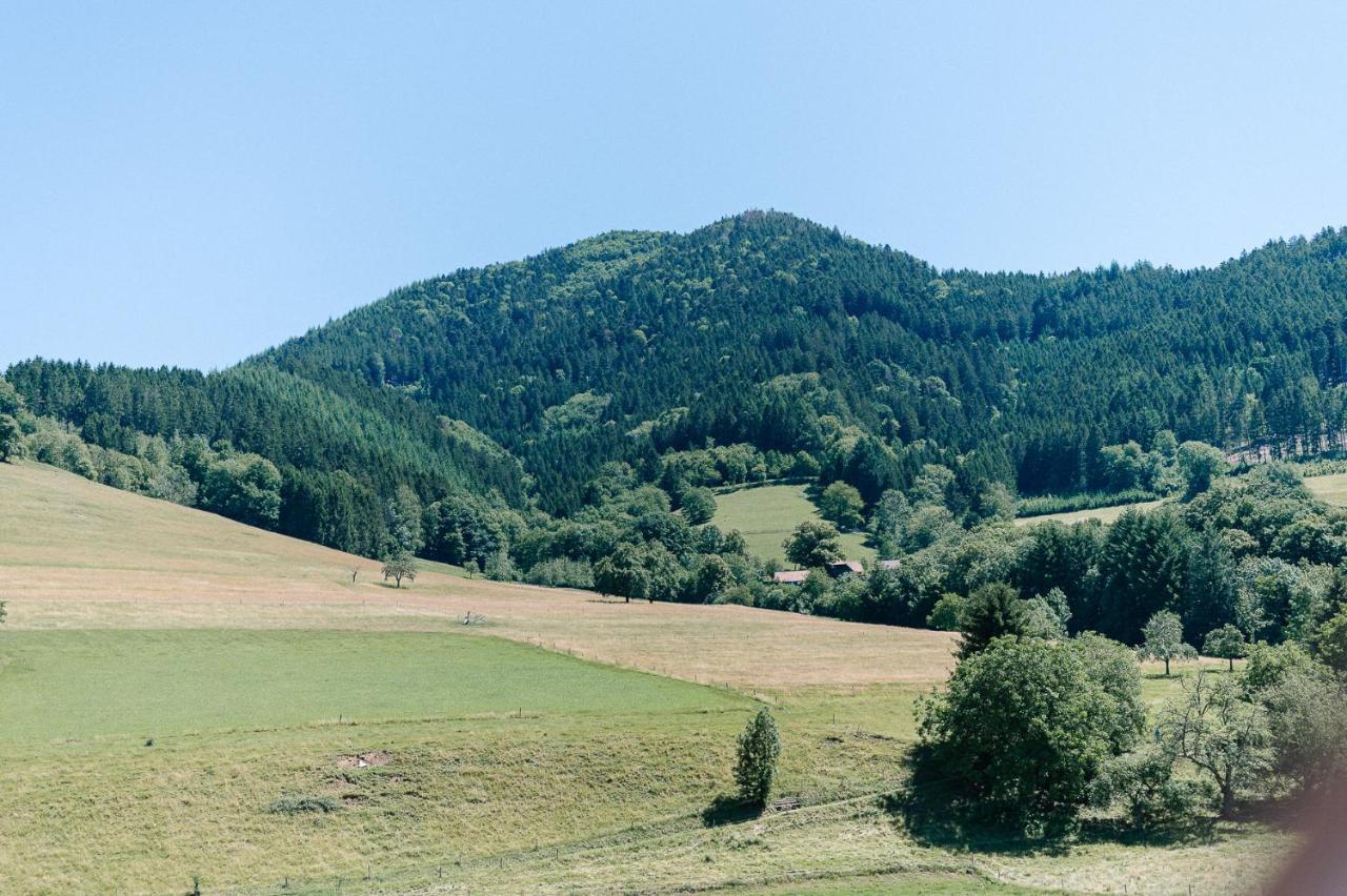 Moderne 2 Zi.-Fewo Blackforest Art Barrierefrei Naehe Freiburg Simonswald Luaran gambar